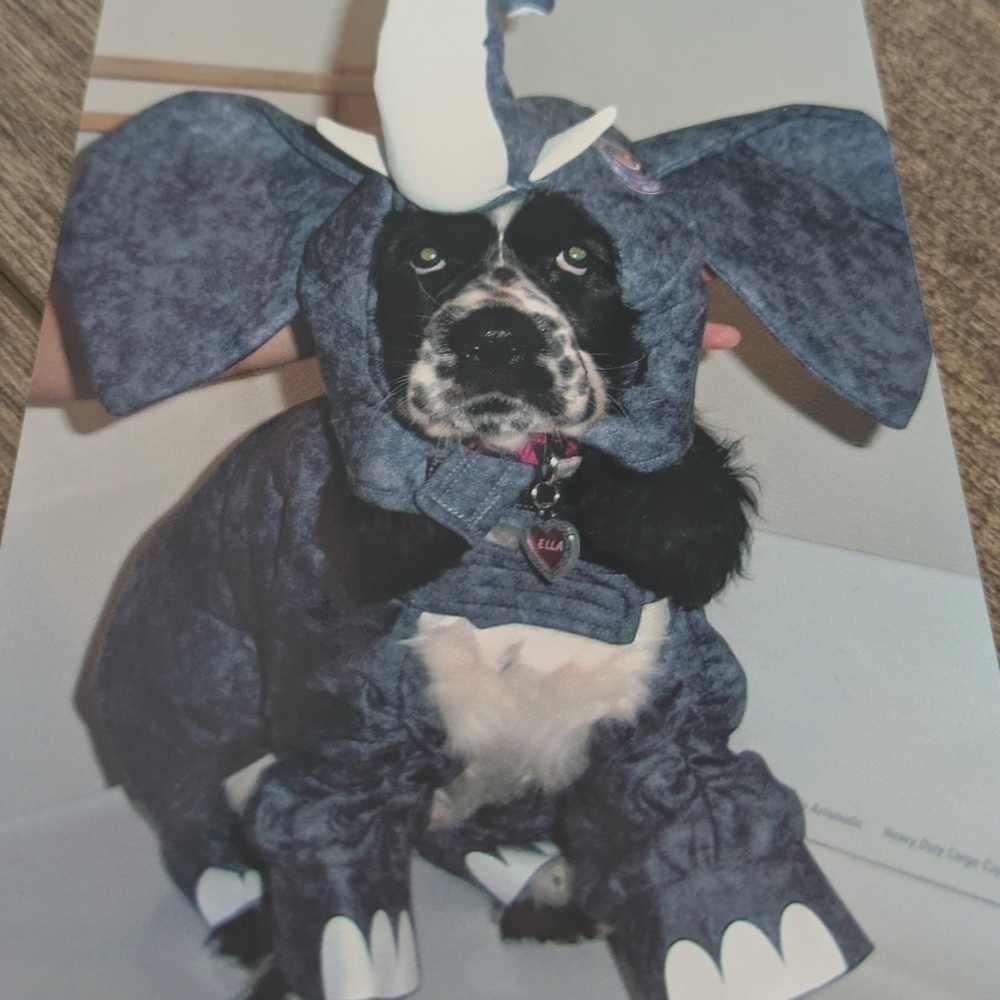 Gray Dog Elephant Costume - Picture 2 of 5